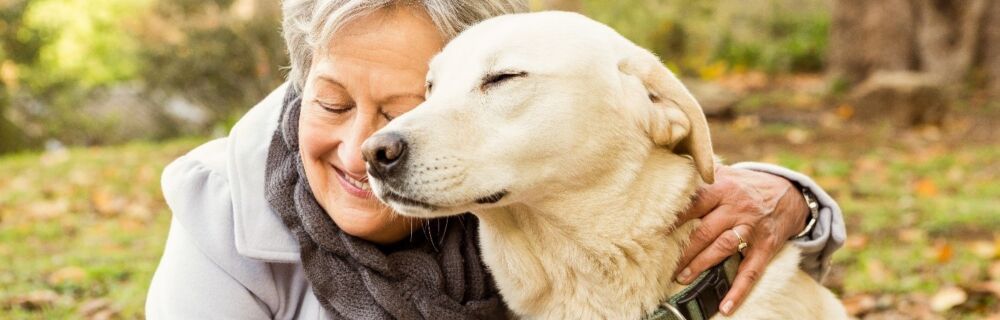 Caring for Elderly and Senior Pets: A Guide for Pet Parents