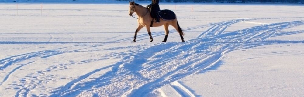 Vinkkejä talveen hevosenomistajalle