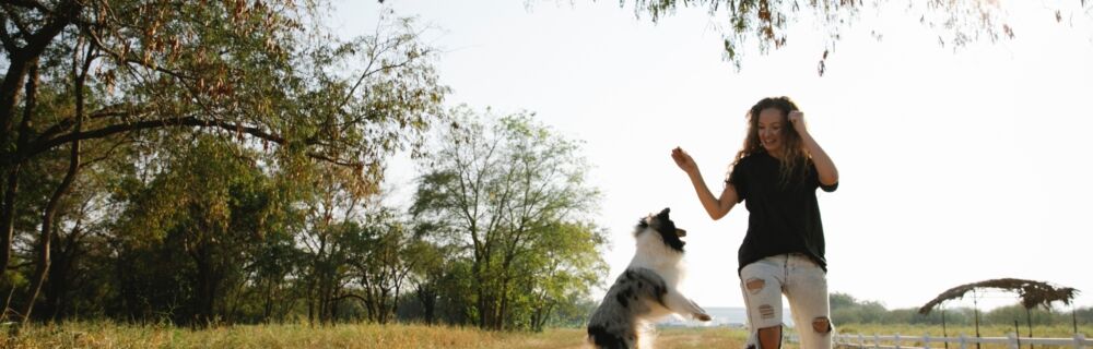 Tips for Exercising Your Dog