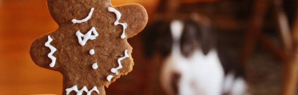 Kan hunder og katter spise pepperkaker?