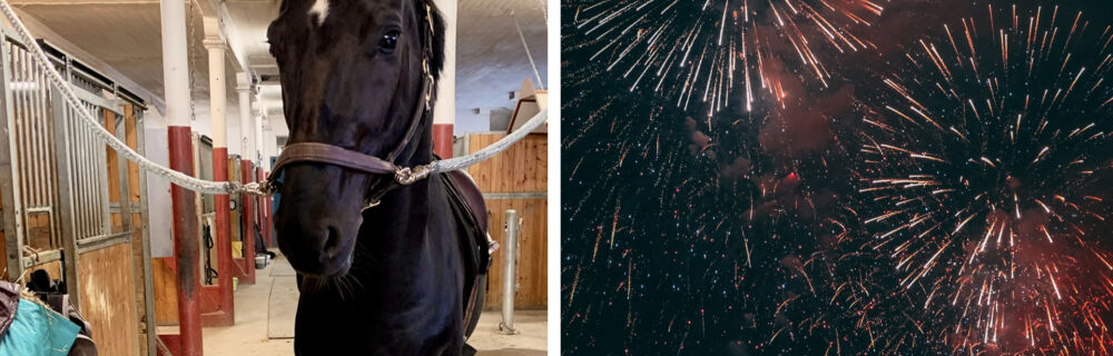 Sådan skaber du en tryg nytårsaften i stalden for din hest