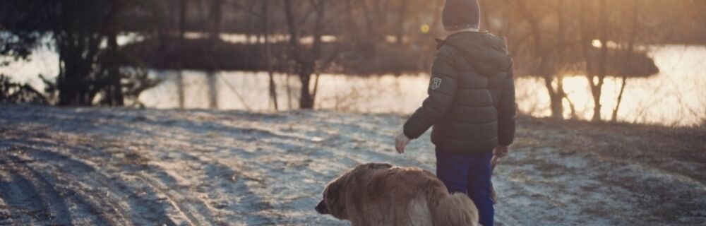 9 Ways to Keep Your Dog Safe this Winter