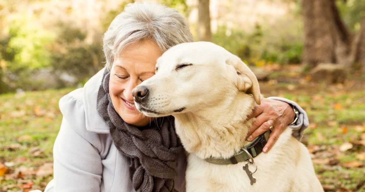 How to Care for Senior Dogs and Cats FirstVet