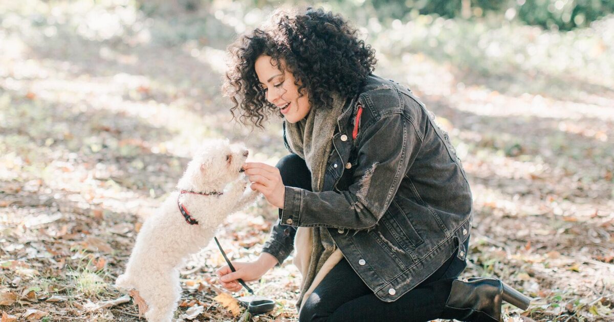 Using Vetmedin (pimobendan) for Dogs with Heart Disease FirstVet