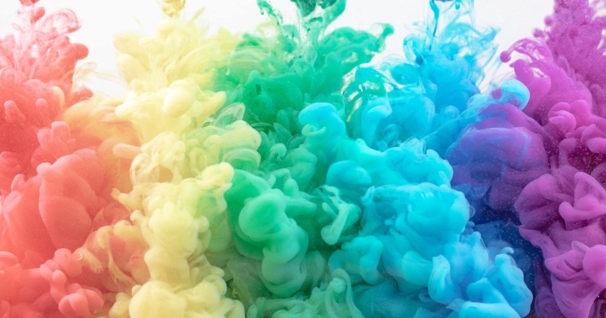 Why your dog might have yellow green or black poop FirstVet