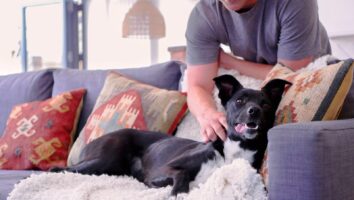 Vacationing with Pets: A Guide to Pet Sitting