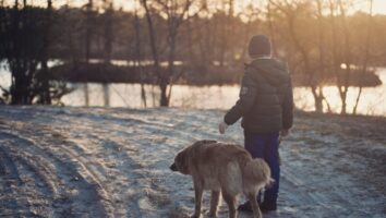 9 tärkeää vinkkiä talveen koiranomistajalle