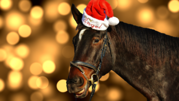 Julfaror för hästen