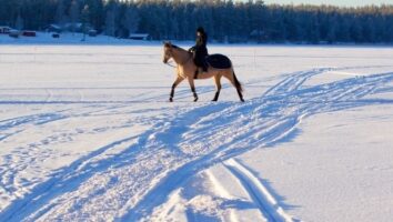 Vinkkejä talveen hevosenomistajalle