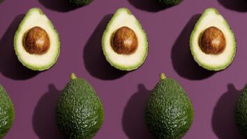 Holy Guacamole! Here’s what you need to know if your pet ate avocado