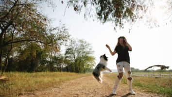 Tips for Exercising Your Dog