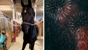 Sådan skaber du en tryg nytårsaften i stalden for din hest