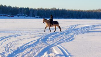 6 viktiga vintertips för dig med häst