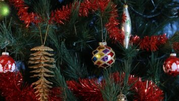 Can Rabbits Eat Needles from Christmas Trees? And Other Holiday Pet Concerns