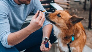 Vitamin and Supplement Safety for Dogs and Cats