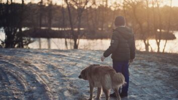 9 Ways to Keep Your Dog Safe this Winter