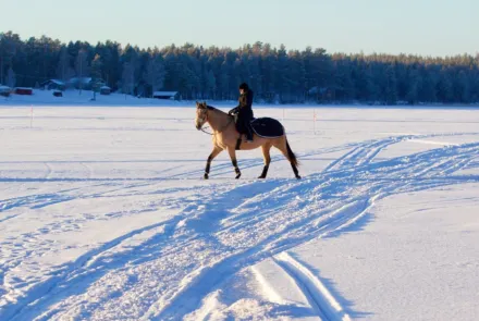 Vintertips for deg med hest