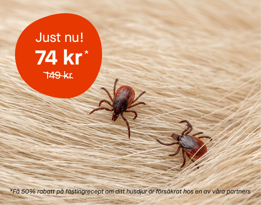 Tick image June Banner