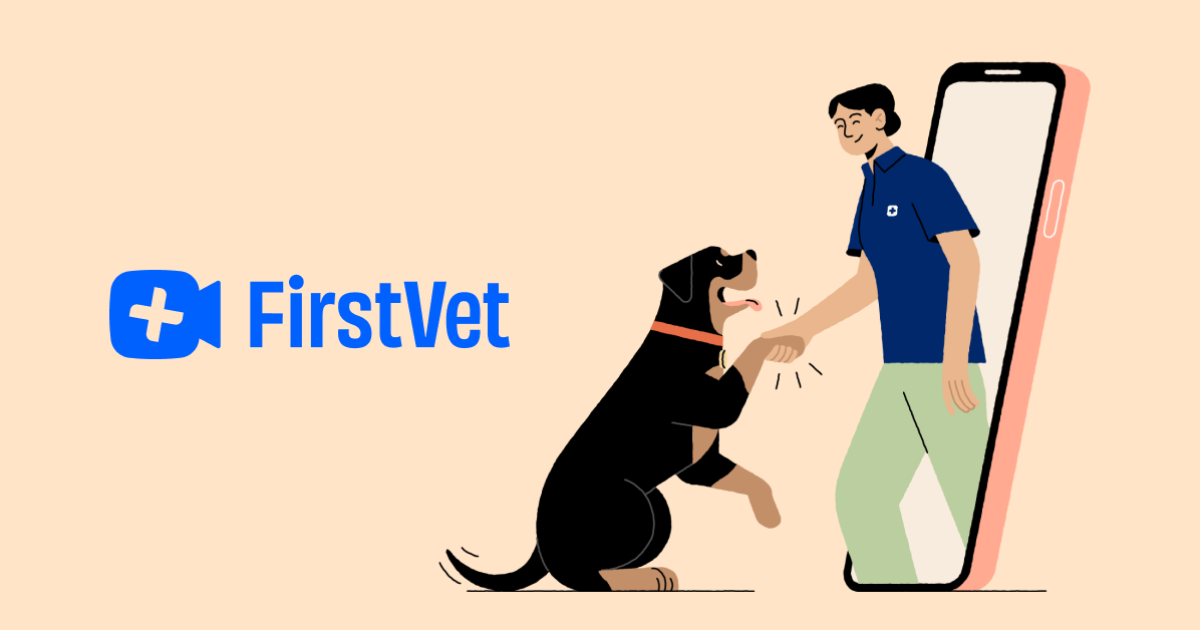 firstvet.com