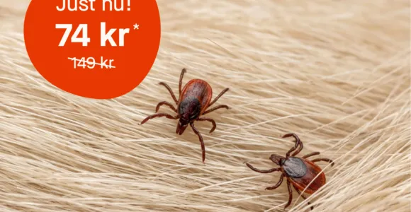 Fästingrecept för din hund eller katt