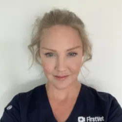 3f6a69ae 0067 4cd2 a9cb 2708ffcae8d1