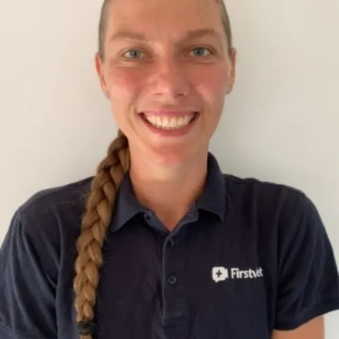 C9367 CC2 92 B7 447 A 8 A23 A3 FE8 C3 BA727