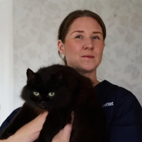 37af1645 1b2f 42c8 9f7c 17b26cac7adb