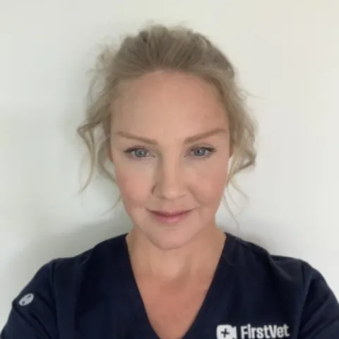 3f6a69ae 0067 4cd2 a9cb 2708ffcae8d1