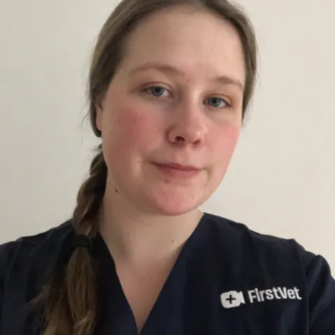 Skärmavbild 2026 03 03 kl 09 03 24