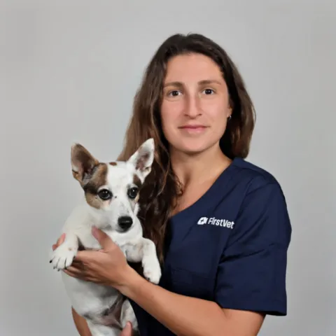 First Vet Profile Picture