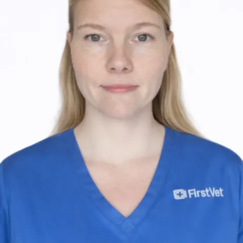 8cde0437 751d 4382 adca a671a837e6ff