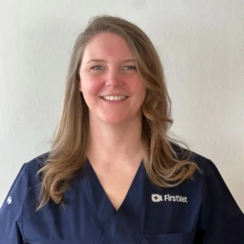 9ce1f948 493b 4de2 a6da f7ea0ed3cc70