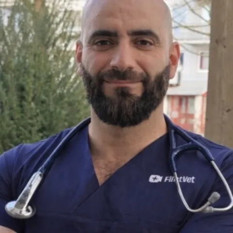 Whats App Image 2026 03 31 at 19 41 15