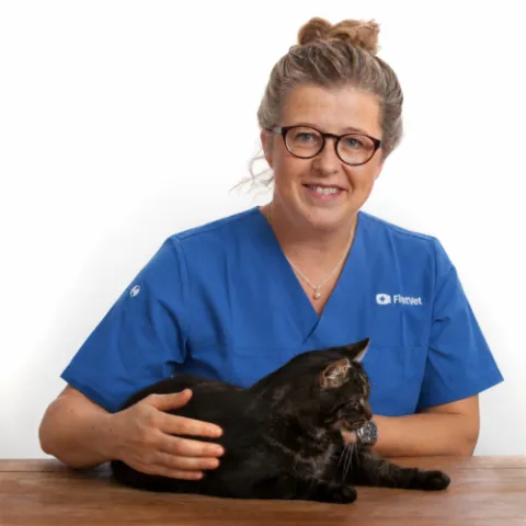 Sarah Stadig First Vet