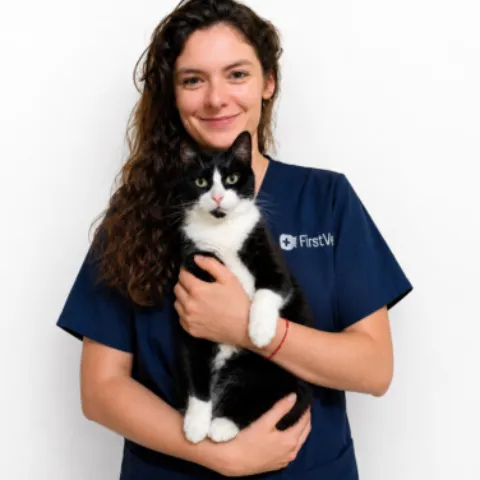 Firstvet 1