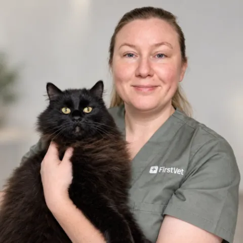 Firstvet Heidi Hermiö