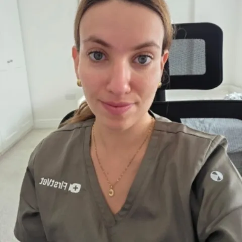 Whats App Image 2026 09 30 at 12 23 51 Catarina Lima